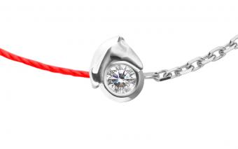 Mini Horse  - Redline