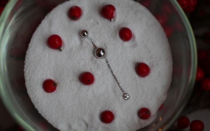 Earrings with 0.10ct Diamond in Rose Gold Bezel Setting - Redline - 0++