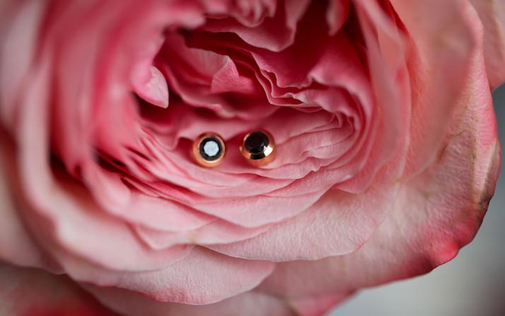 Earrings Kcolor Pure Rose Gold RedLine Jewelry - Redline - 0++