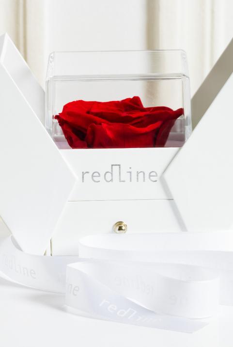 Мужской проволочный браслет Packaging Rose Белое Золото - Redline - 0++