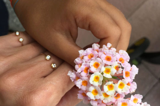 L’amour entre une mère et son fils !