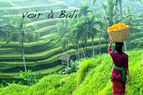 Les 4 choses à voir absolument à Bali