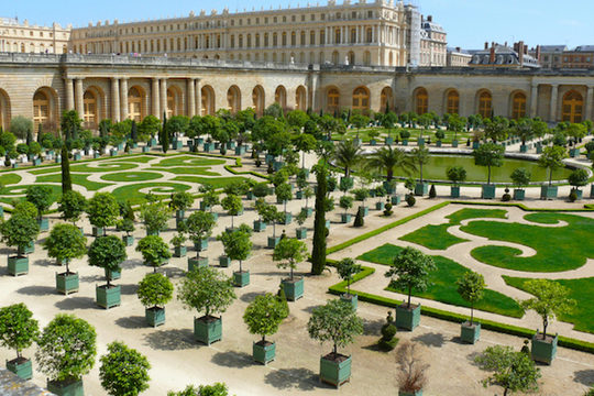 La sortie du week-end : Versailles et ses jardins !