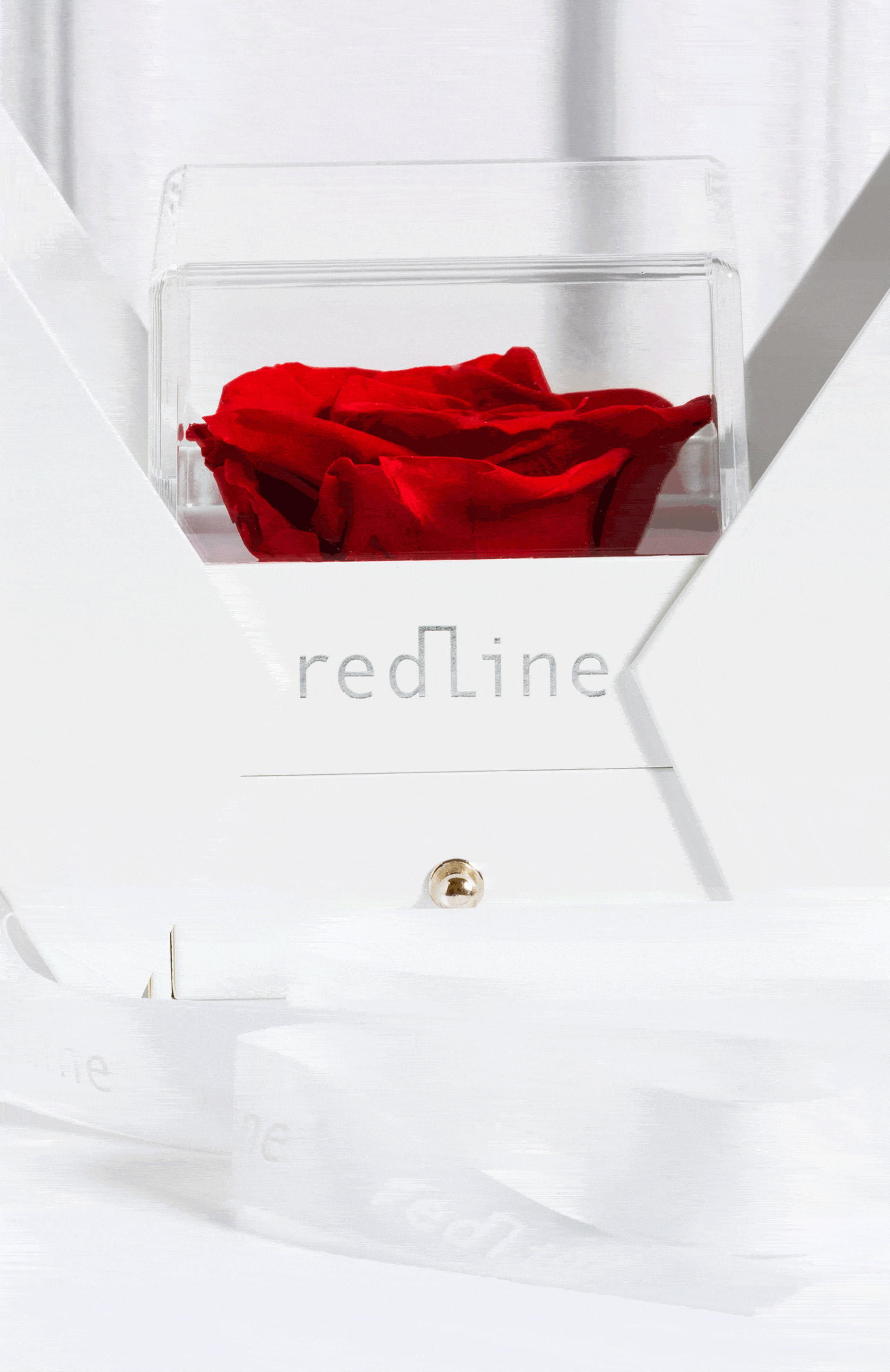 Исключительный подарок