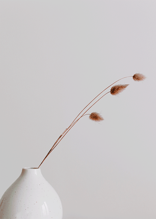 Символ очарования и утончённости