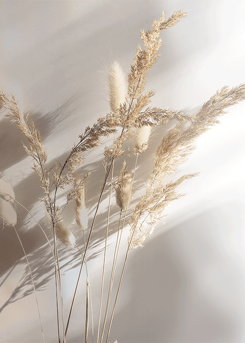 Redline отмечает Pure