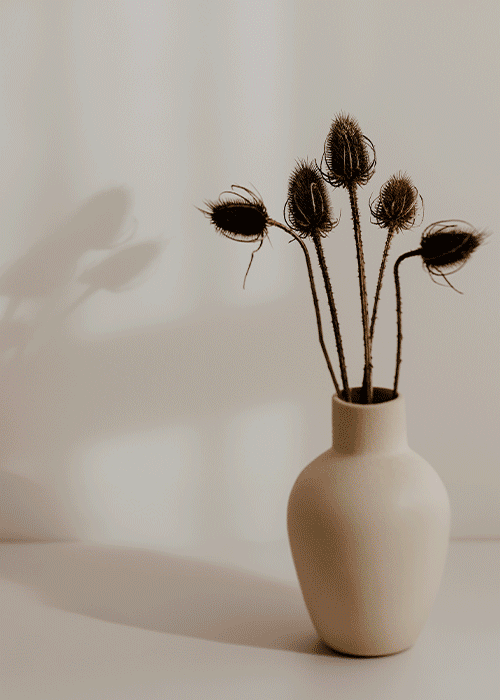 Украшение это стиль жизни